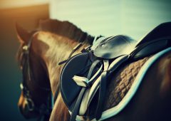 Saddle with stirrups on a back of a horse