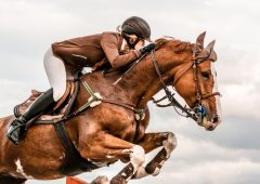 Close-up of horse with a rider jumping over a hurdle. The photo shows the moment when the horse passes over the hurdle. The female rider is raised in the saddle and leaning forward while the horse prances. The rider and the horse seem coordinated and synchronized. The girl wears a brown jacket that matches in color with the horse. In the background is the moody sky. The photo was taken in a training, but the rider has been equipped as for a competition.