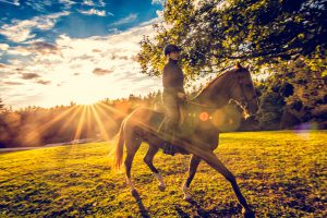 Young woman riding a horse in nature