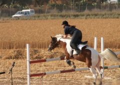 Fordelene med å holde seg til riding.