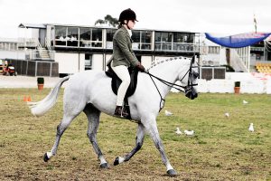 1200px-Horse_riding_in_coca_cola_arena_-_melbourne_show_2005