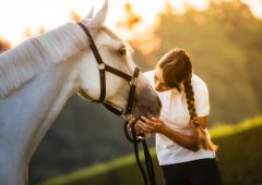 Female horseback rider in nature holding and kissing a horses head. Trees and grass blurred in the background.