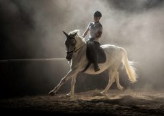 Woman riding horse on ranch at night.
