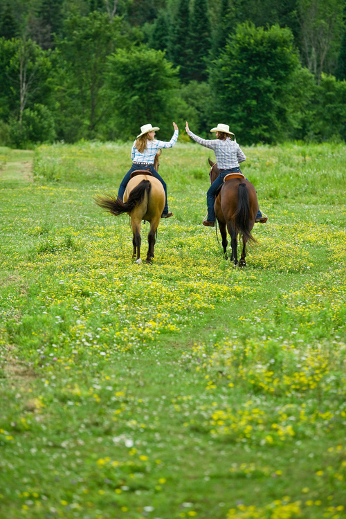 Heste ridning – En sport for hele familien